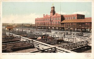 Kansas City Missouri 1908 Postcard Live Stock Exchange Pens Detroit Publishing