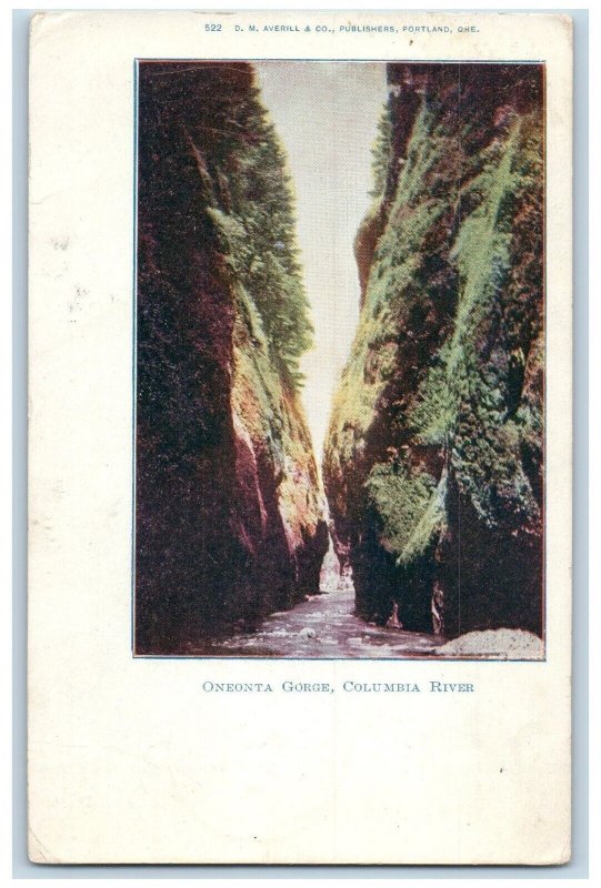 1906 Oneonta Gorge Columbia River Cliff Mountain Lake Oregon OR Vintage Postcard