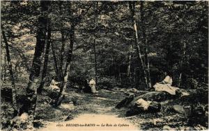 CPA BRIDES-les-BAINS - Le Bois de Cythere (651956)