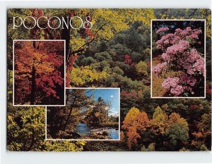 Postcard The colors of spring, summer and fall, Pocono Mountains, Pennsylvania