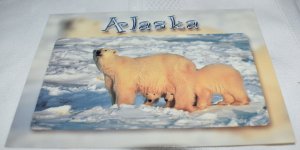 Polar Bear Mother and Young Alaska Postcard Arctic Circle Enterprises Inc.