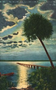 Vintage Postcard Under The Spell of Southern Moon St. Petersburg Florida Fla. 