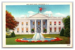 White House and Front Lawn Washington DC  UNP Unused Linen Postcard N24