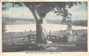 Old Oak Tree at Kaese's - Yulan, New York NY  