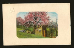 Canada Postmarked 1910 Barrie Ont Theochrom Series 1199 Color Postcard