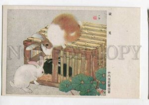 3116348 KOREA rabbits Old postcard