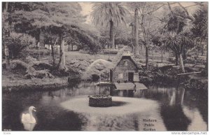 Public Garden, Madeira, Portugal, 1900-1910s
