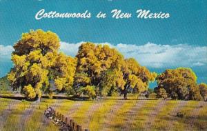 Cottonwoods In New Mexico 1967