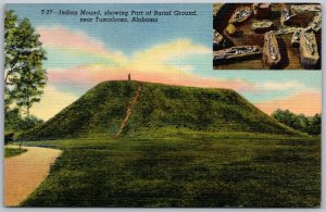 Tuscaloosa Alabama 1940s Postcard ancient Mound burial ground