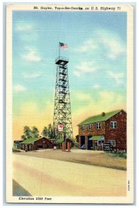 c1940's Mt. Gayler Top O The Ozarks On US Highway 71 Mobilgas Arkansas Postcard