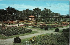 Chrome GARDEN SCENE Windsor Ontario ON AH7871