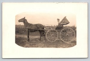 RPPC   Young Man in Horse and Buggy   Postcard
