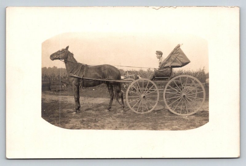 RPPC   Young Man in Horse and Buggy   Postcard