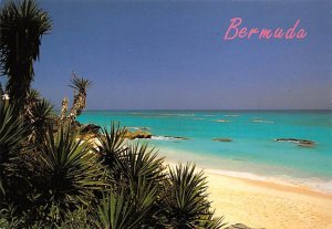 Typical South Shore Beach Showing Water, Reefs Bermuda Island Unused 