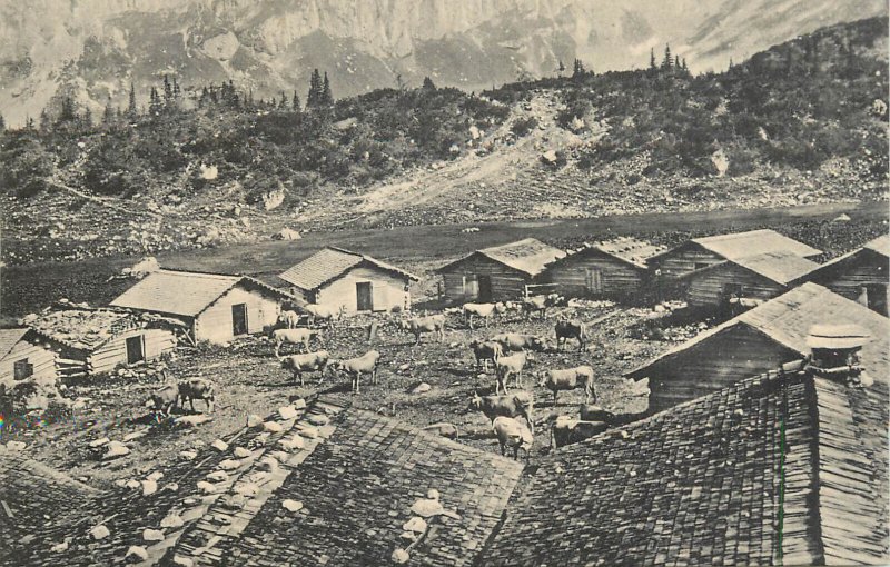 Mountaineering Austria Sporer Alp bei der Lindauerhutte