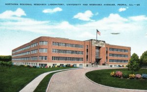 Vintage Postcard 1949 Northern Regional Research Laboratory University Peoria IL