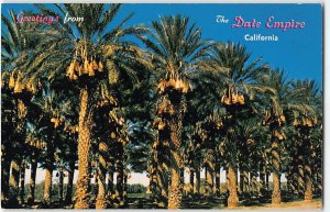Date Groves Fruit Coachella Valley Palm Springs 1950s Vintage Postcard