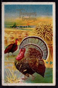 Thanksgiving Greetings Turkeys BIN