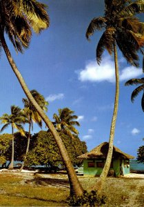 French Polynesia Rangiroa House In Tiputa Village