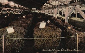 Vintage Postcard 1913 Loose Leaf Tobacco Sale's House Agriculture Kentucky KY