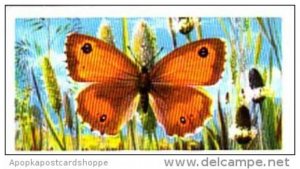 Brooke Bond Tea British Butterflies No 8 Hedge Brown