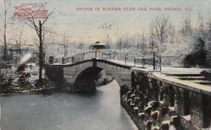 Illinois Peoria Bridge In Winter Glen Oak Park 1911