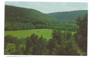 Pennsylvania Scenes Lambs Lookout Loyalsock PA (3 cards)