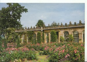 Derbyshire Postcard - The Rose Garden - Chatsworth - Bakewell - Ref 9713A