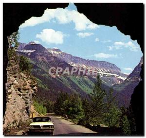 USA Modern Postcard Glacier National Park Montana (bear bear)