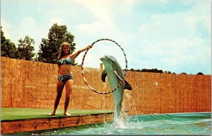 VINTAGE POSTCARD PORPOISE SHOW ANIMAL WONDERLAND HOT SPRINGS NAT'L PARK ARKANSAS