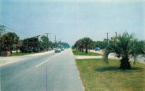 Postcard 1950s South Carolina Myrtle Beach Palms Kings Highway autos 23-13008