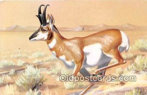 Painted by Maynard Reece Pronghorn Antelope Unused 