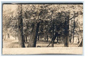Davenport Iowa IA RPPC Photo Postcard View of Forest Trees Grasses c1910