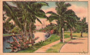 Vintage Postcard 1920's Indian Creek and Roney Plaza Hotel Miami Beach Florida