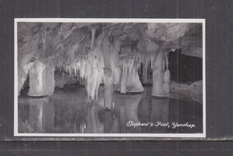 WESTERN AUSTRALIA, YANCHEP CAVES, ELEPHANT'S FOOT, c1950 photo ppc.