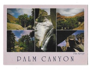 Palm Canyon Split View Palm Springs California 15 Mile Wilderness Area 4 by 6