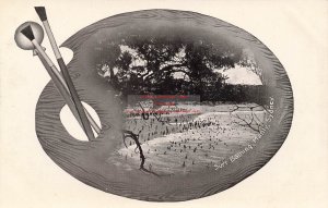 Australia, Sydney, Surf Bathing, Aerial View