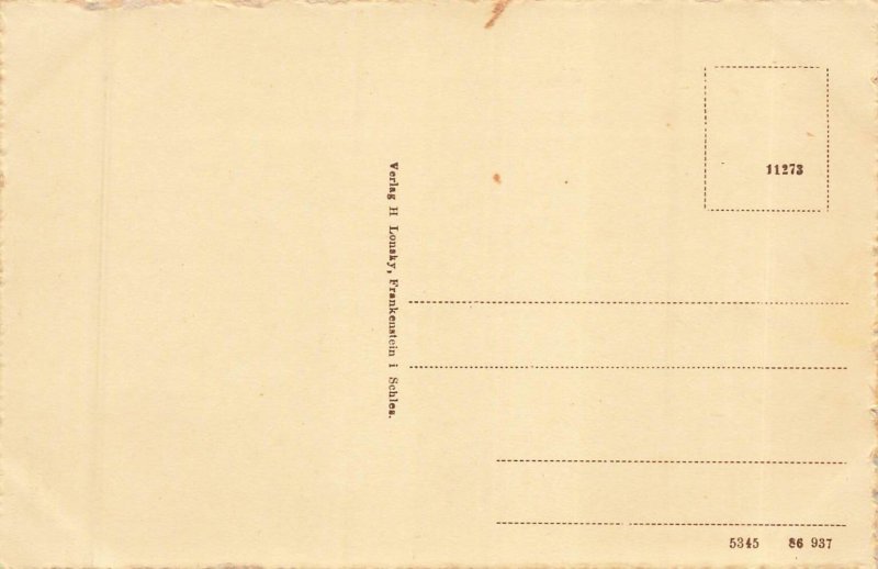 Frankenstein Ząbkowice Śląskie Poland~Gartenstraße H Lonsky Postcard