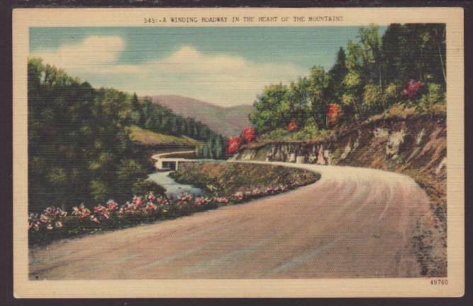 Winding Roadway in the Heart of the Mountains Postcard 