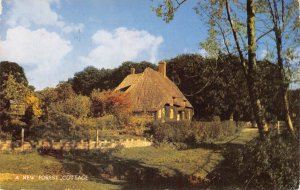 L236 England 1965 A New Forest cottage house street postcard