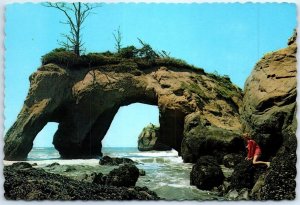 Postcard - Elephant Rock, Washington Seacoast - Washington