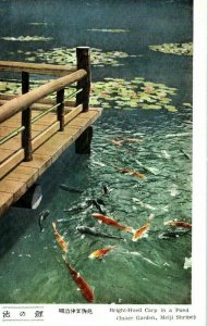 Vintage Japanese Travel Postcard Koi Pond & Pier UNUSED