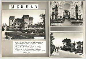 49467 vintage postcard - FERRARA province - MESOLA-