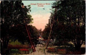 Vintage Postcard Orange Pickers at Work,Florida PM 1911 Eustis FL JV5