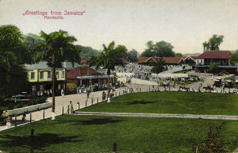 jamaica, MANDEVILLE, Street Scene with Market, Wembley and Bargain House (1910s)