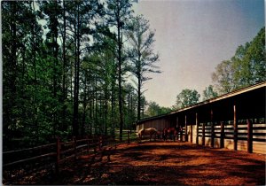 Vtg Cartersville Georgia GA Red Top Mountain State Park Horse Stables Postcard