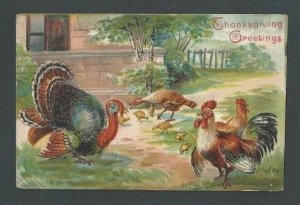 1912 Thanksgiving Greeting W/Turkey & Chickens Multi-Colored Embossed