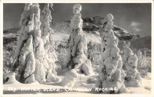 BR103103 winter scene canadian rockies real photo canada