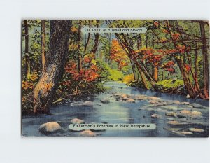 Postcard The Quiet of a Woodland Stream, Fisherman's Paradise in New Hampshire