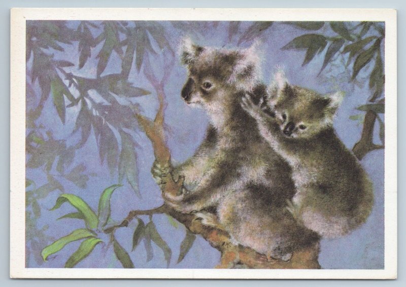 1982 Phascolarctidae with young Koala Bear by ISAKOV Russian Unposted postcard